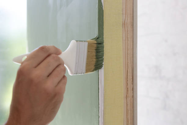 Best Water Damage & Mold Remediation  in Bloomfield, NM