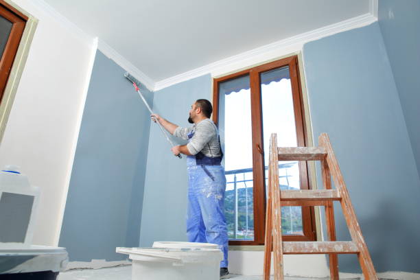 Best Emergency Mold Remediation  in Bloomfield, NM
