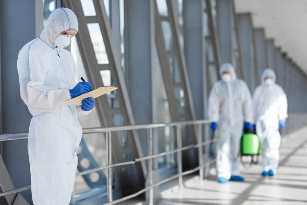 Mold Documentation for Insurance Claims in Bloomfield, NM