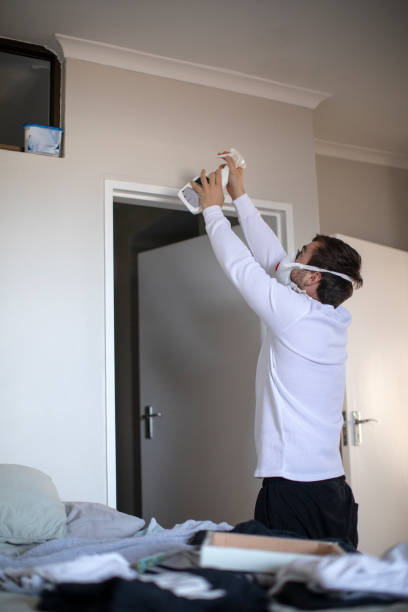 Trusted Bloomfield, NM Mold Removal Experts