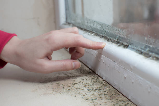 Best Post-Remediation Verification Testing  in Bloomfield, NM