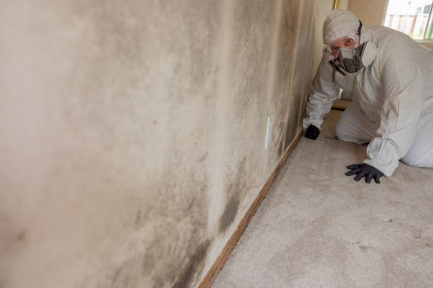 Best Forensic Mold Investigation  in Bloomfield, NM